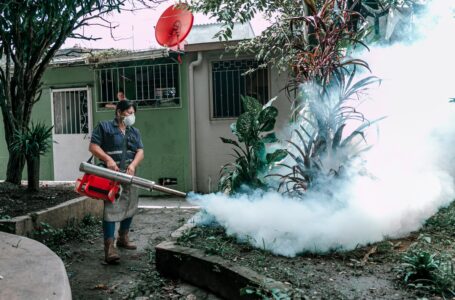 Emiten alerta estratificada por dengue debido a la diminución de casos