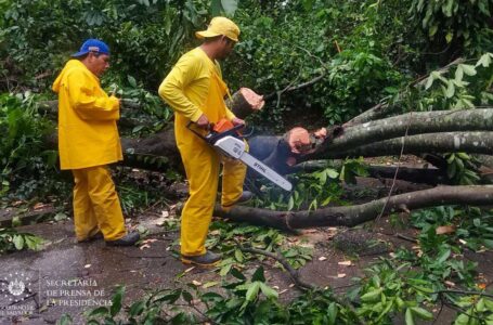 La red vial se encuentra funcionando con normalidad luego de las lluvias