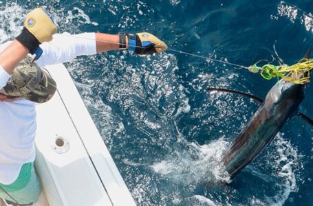 El Salvador es sede de nueva edición del Torneo Internacional de Pesca del Marlín